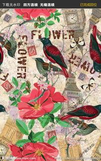 欧美小鸟印花图片高清,高清小鸟印花图案赏析